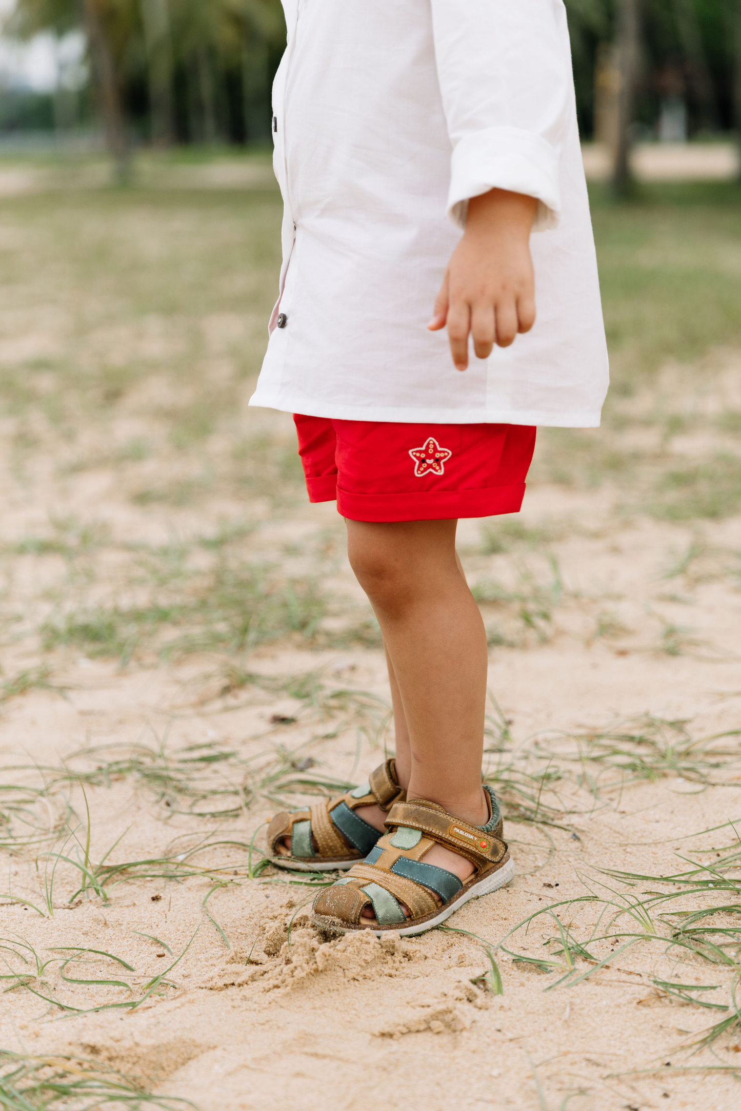 Starfish Summer Organic Cotton Shorts