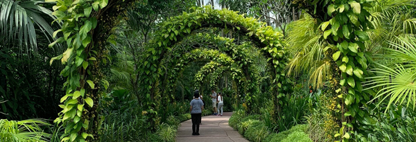 Singapore Love Story: A Walk in the Botanic Gardens